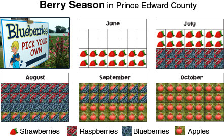Berry Seasons