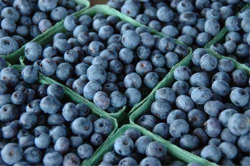 Farm Fresh Blueberries